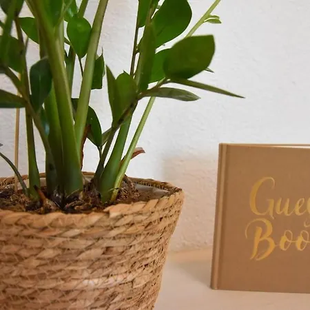 Lägenhet Ca' Gialla 4 - Di Lugano, Dog Friendly, Balcone E Parcheggio - *
